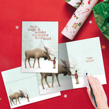 Load image into Gallery viewer, Boxed Cards- Magic and Wonder 60399