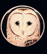 Load image into Gallery viewer, Large Button Pins 2"