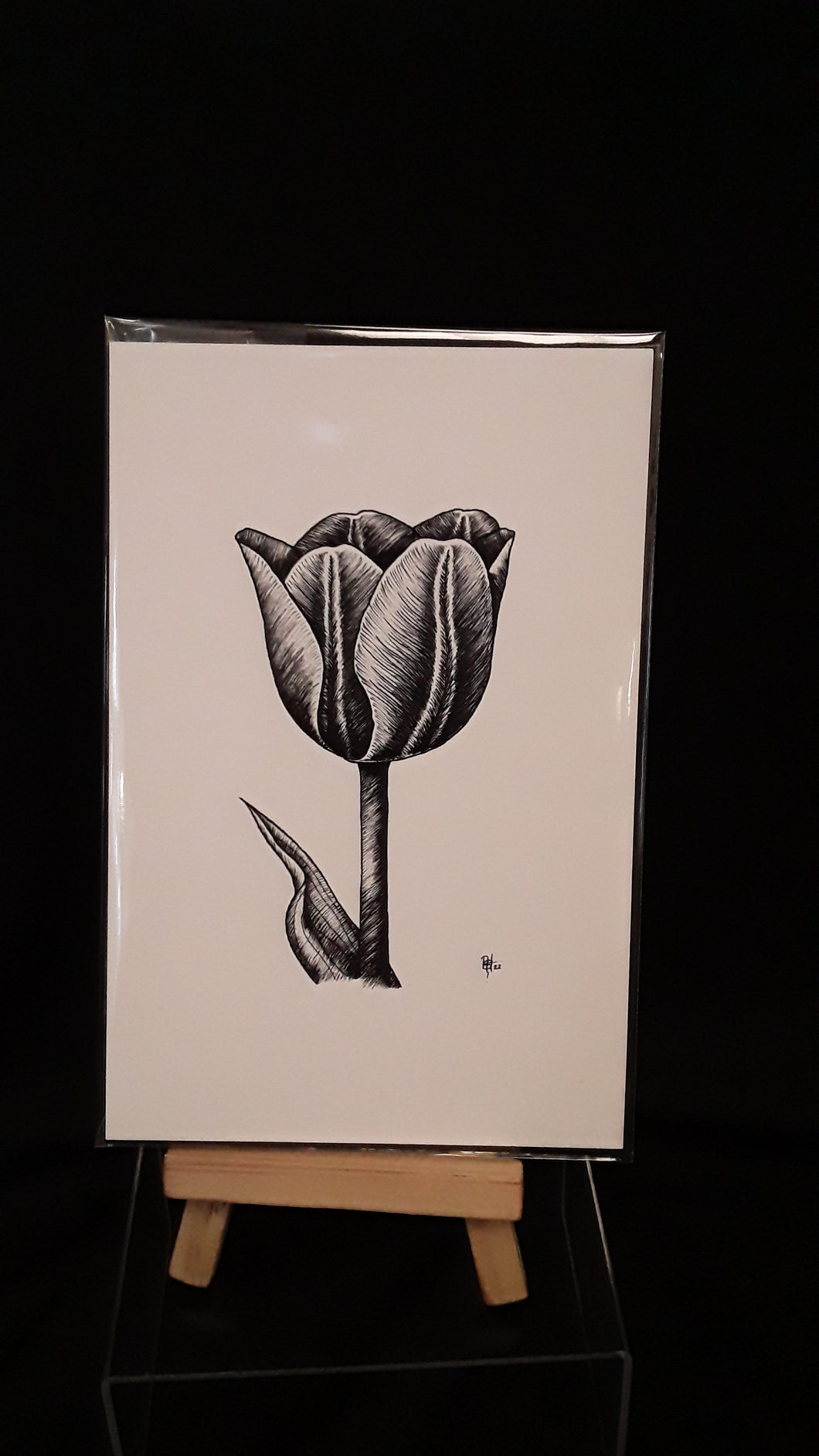 4x6 Print- Tulip