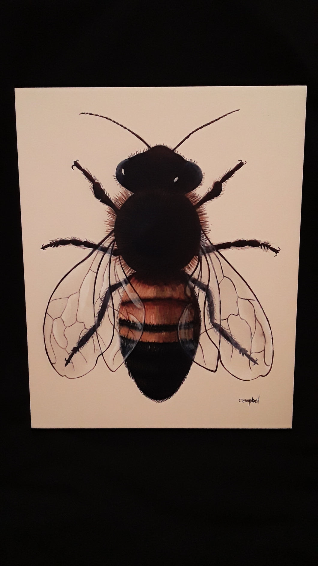 Box Print- Honey Bee 11x14