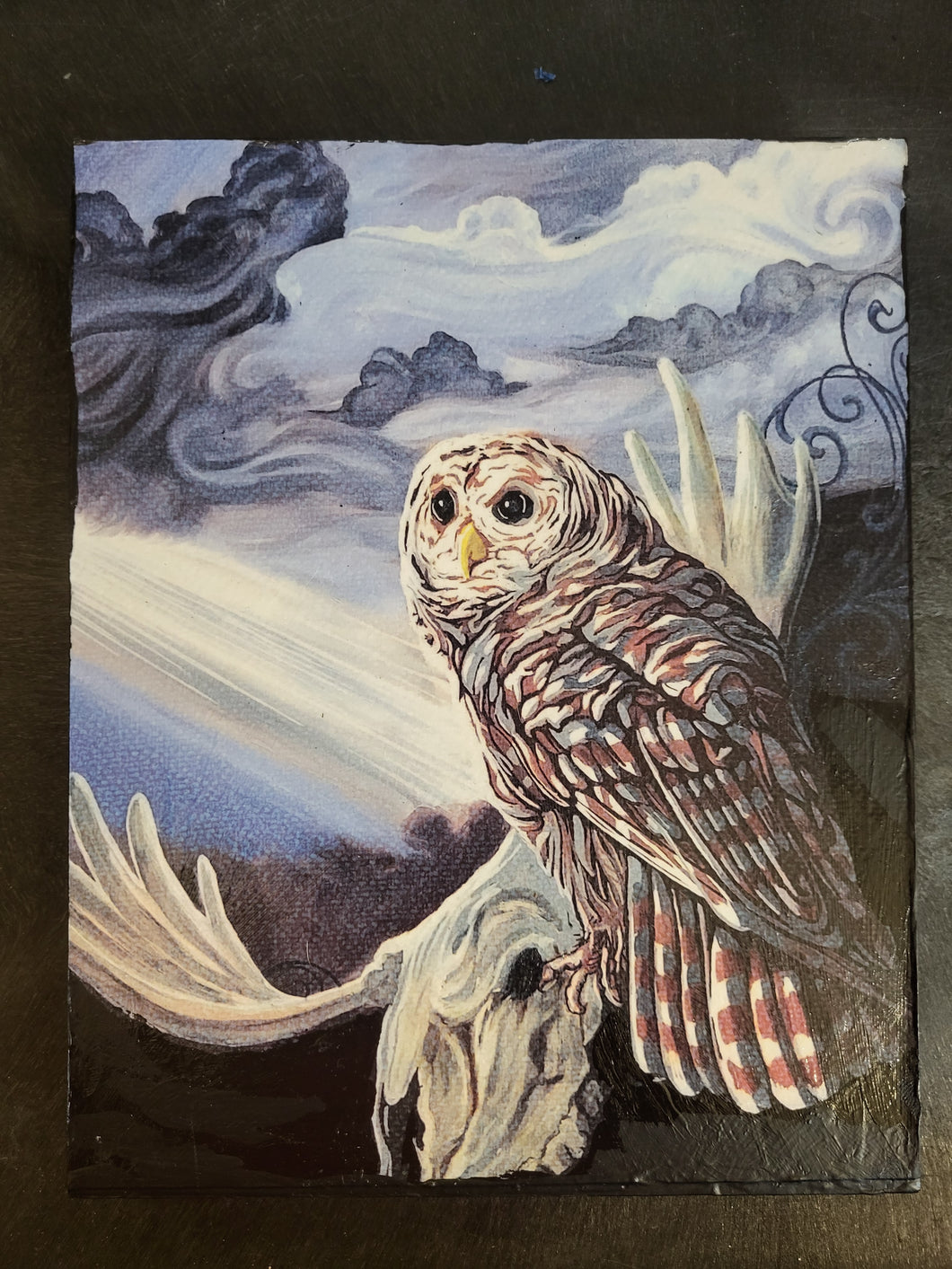 Giclee Print- Hard Wisdom