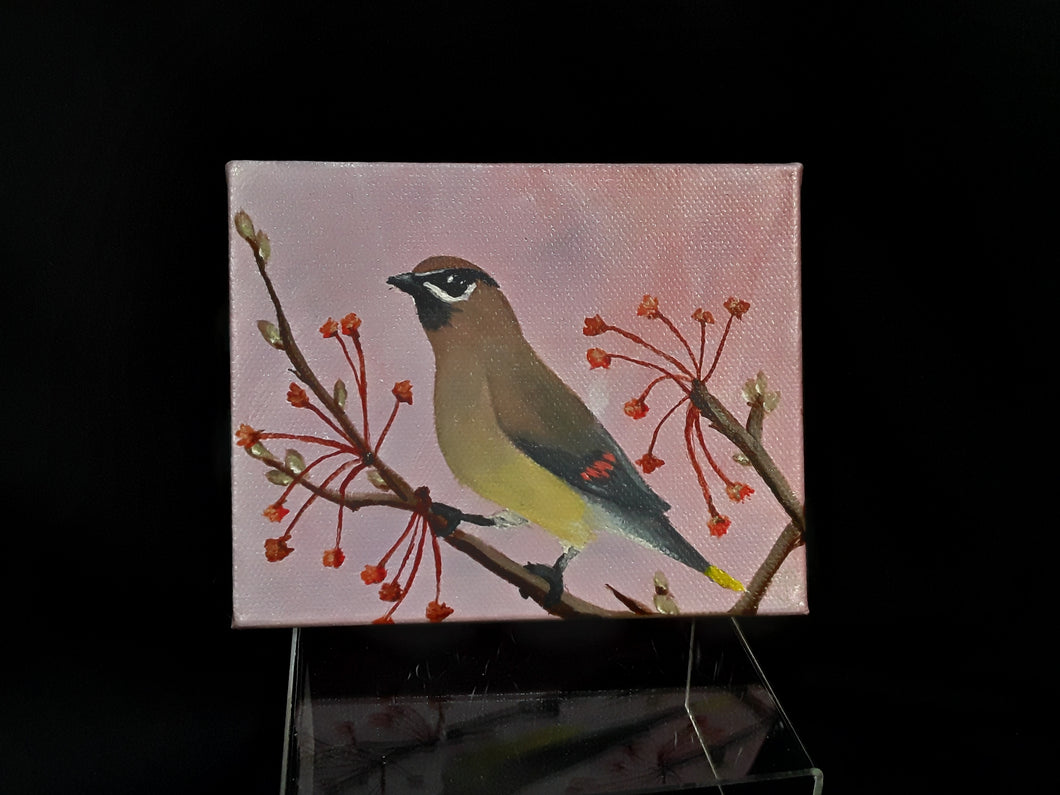 Painting- Cedar Waxwing 4x5