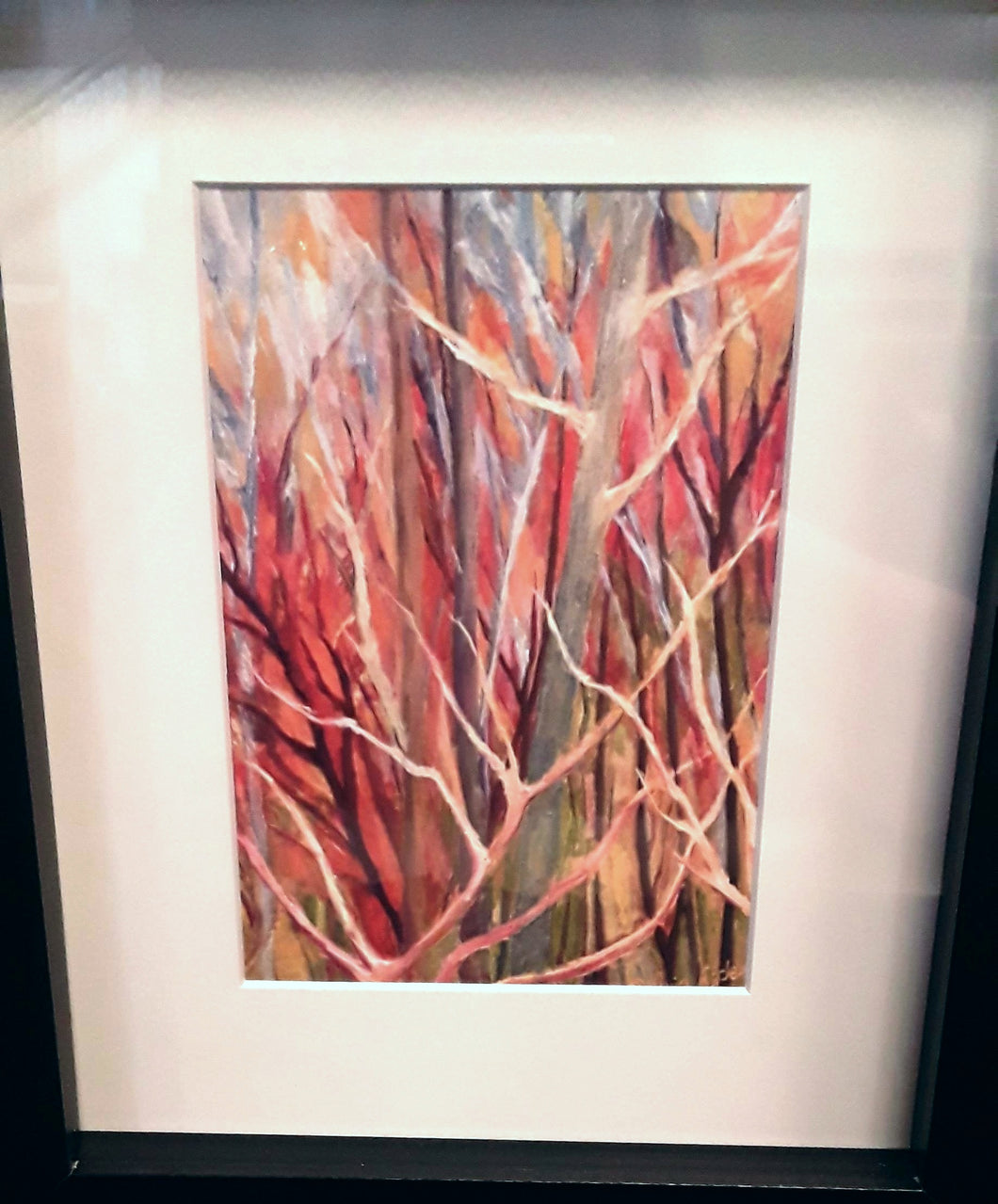 Framed Print- Colors of Autumn