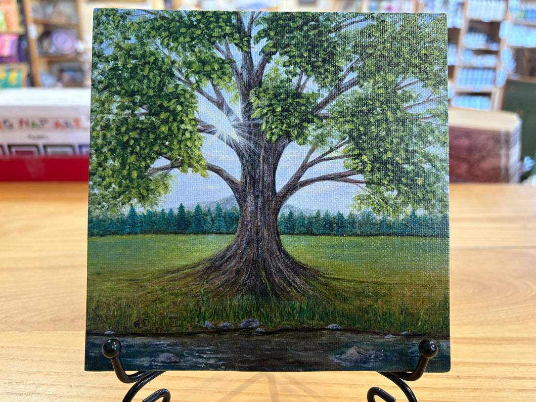 Panel- Illumination 6x6