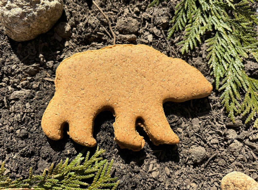 Dog Treat- PB Bears