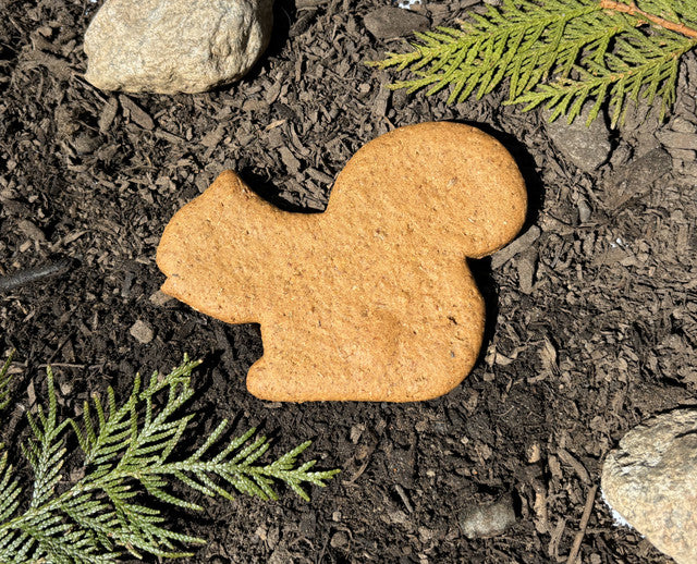 Dog Treat- Squirrel
