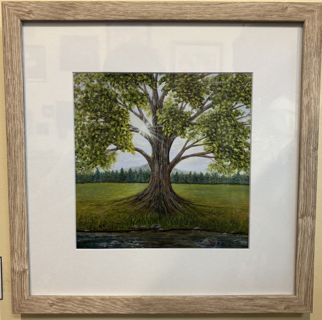 Giclee- Illumination 8x8