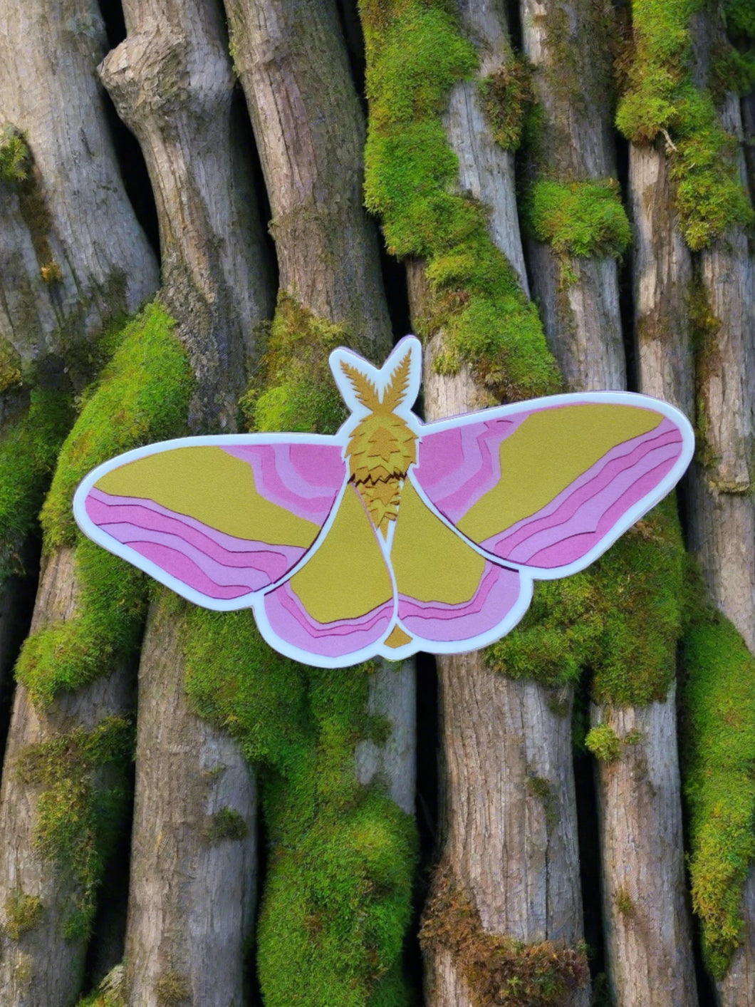 Sticker- Moth