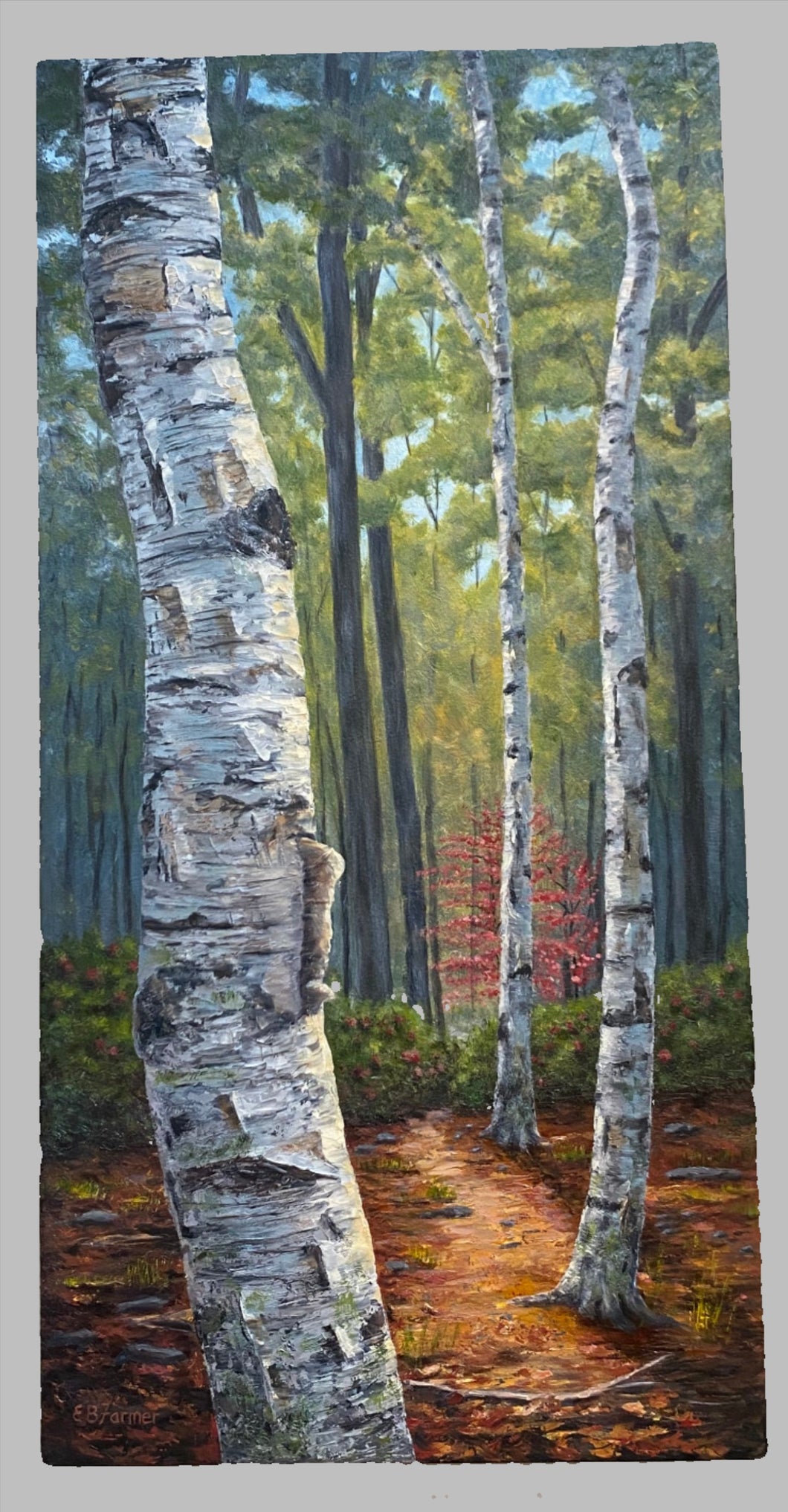 Painting- Spring Birch w/Dogwood