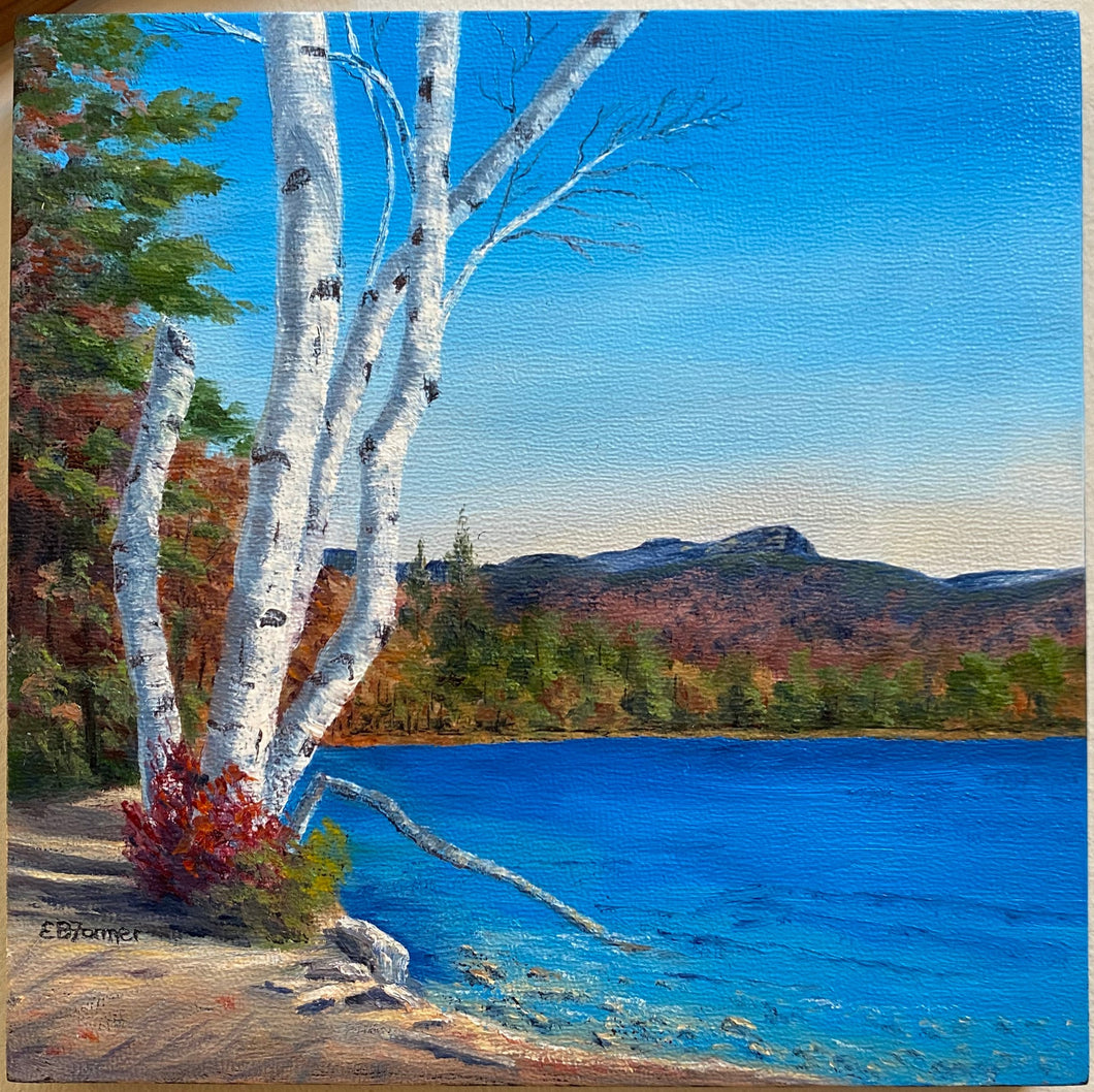 Painting- Birch at Mt. Chocorua