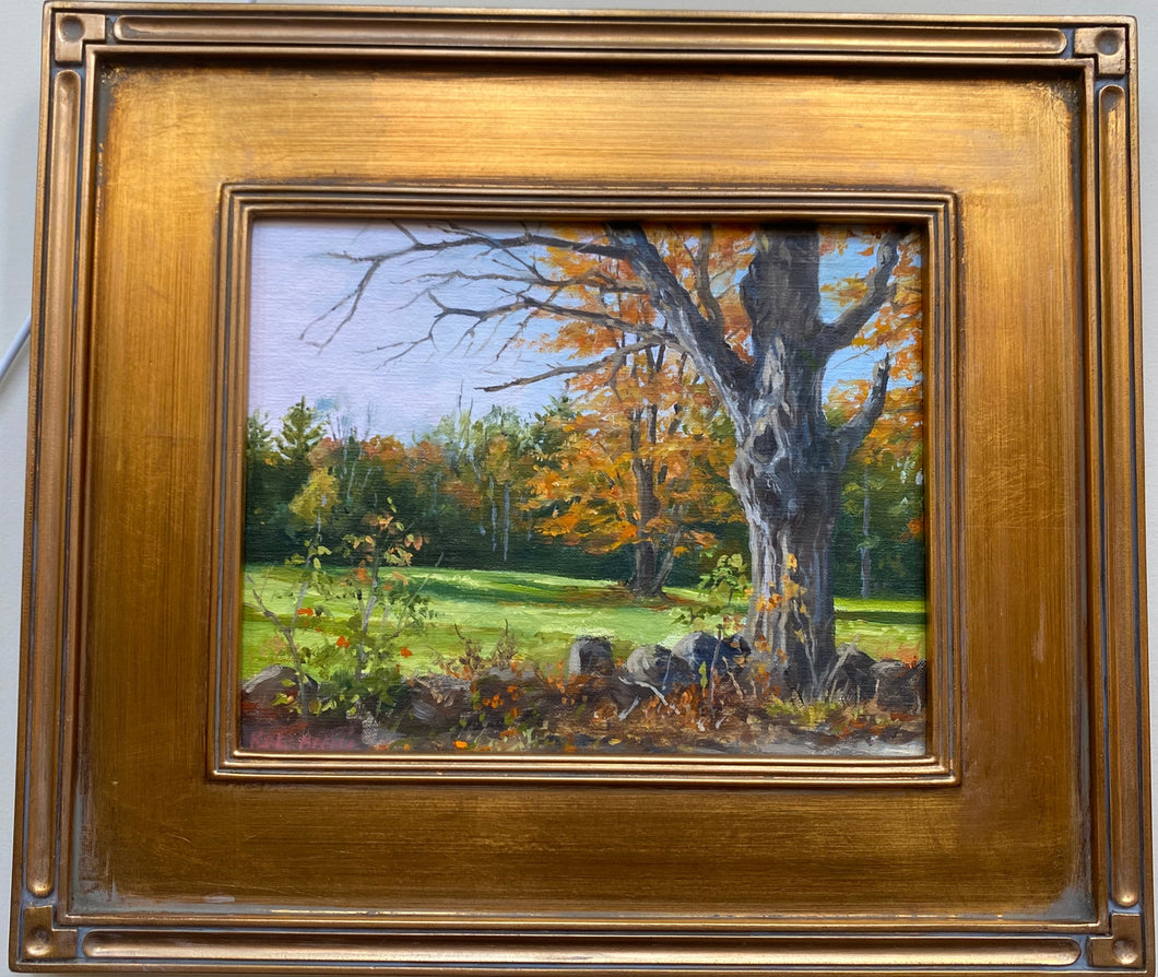 Painting- The Old Maple-Original