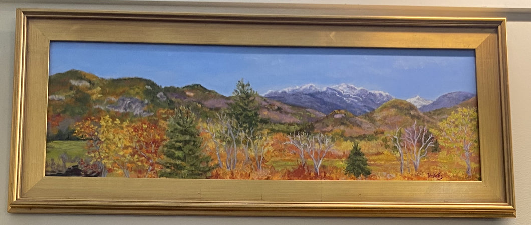 Painting- Snow Capped Mt Wash-Original : 12x36