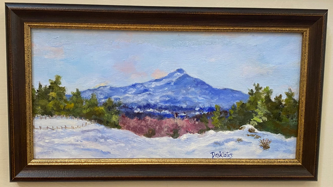 Painting- Snow Cover 6x12