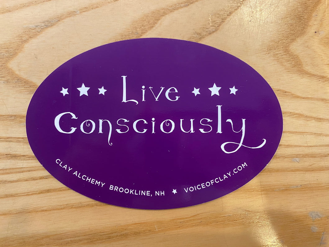 Decal- Live Consciously Sticker-Decal #39