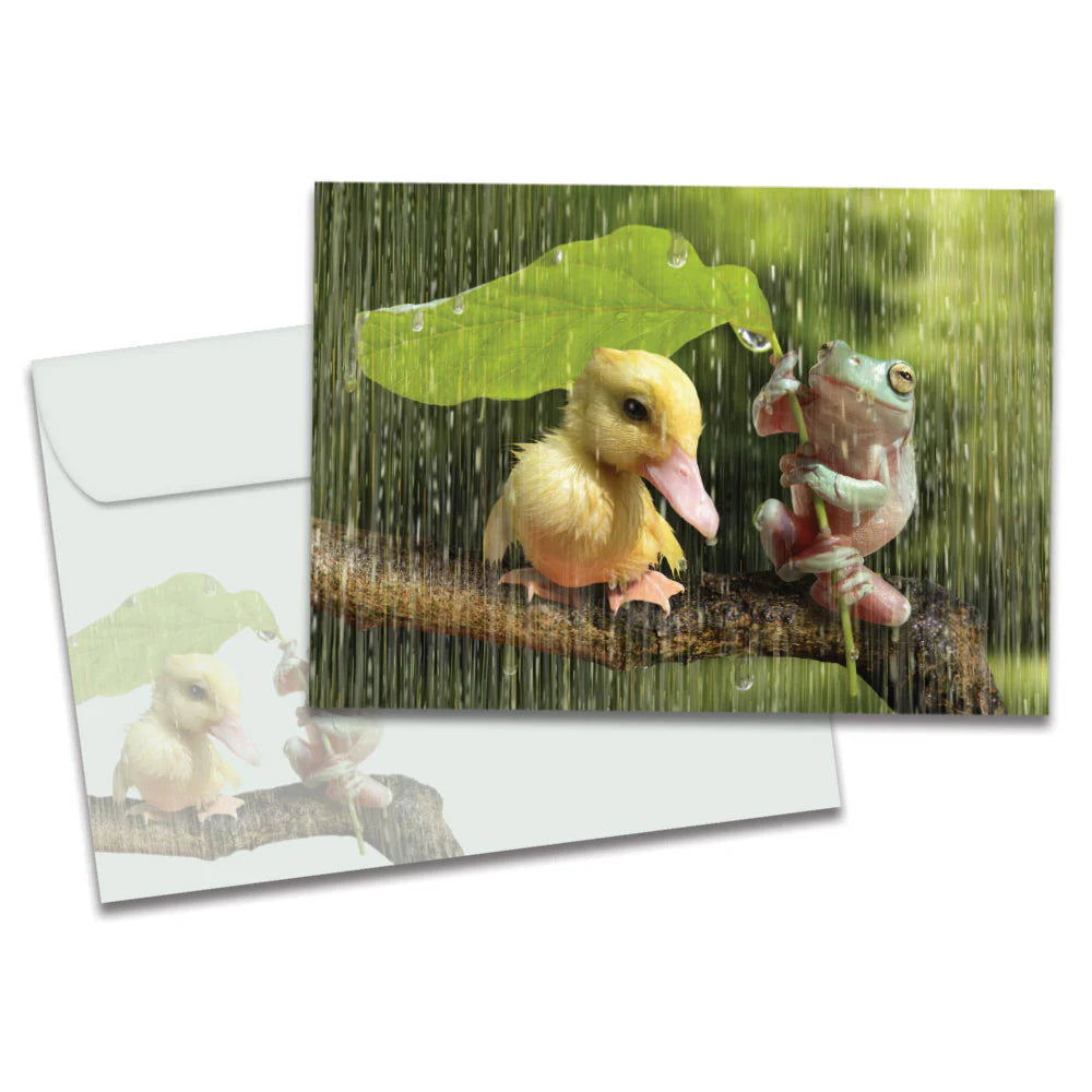 TF Card- Got You Covered 14634