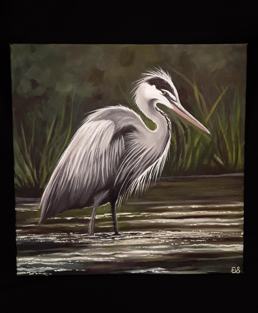 Original- Heron